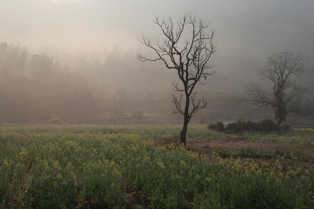 Qingheyue Inn Yi (Anhui) Bagian luar foto